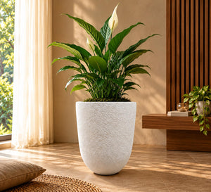 Modern Textured Tapered Planter – White - Lifestyle