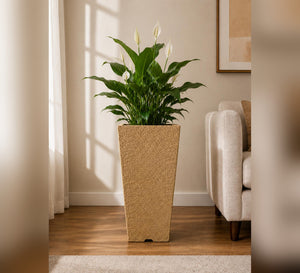 Tall Tapered Planter - Sand Finish - Lifestyle