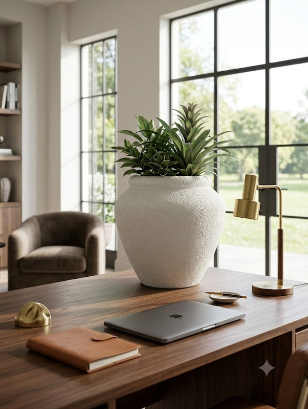 Lifestyle Planters