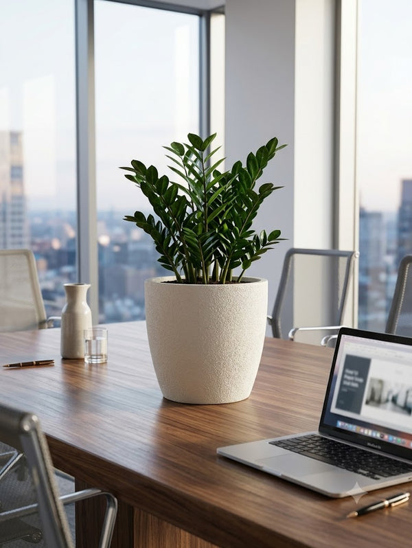 Indoor Planters